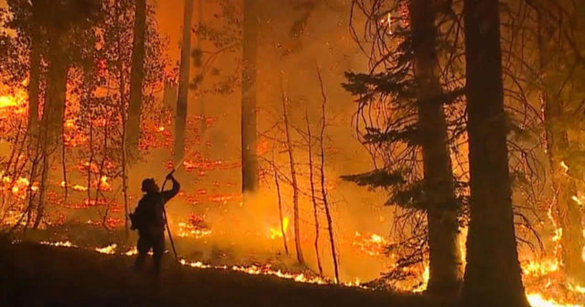 Officials consider new approaches to combating wildfires