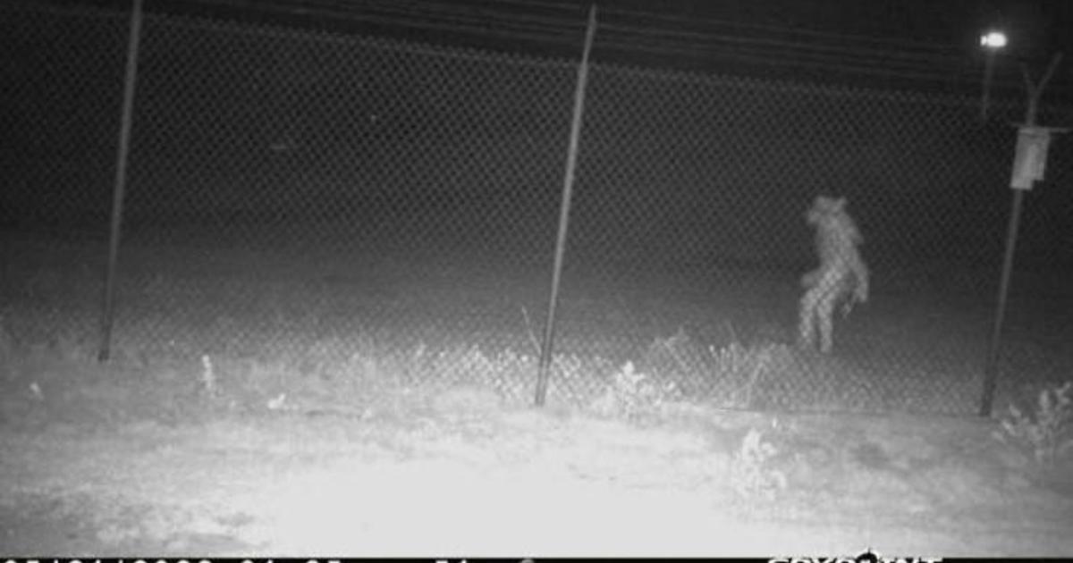 What is this “strange” creature seen outside a zoo? A city in Texas wants to know.