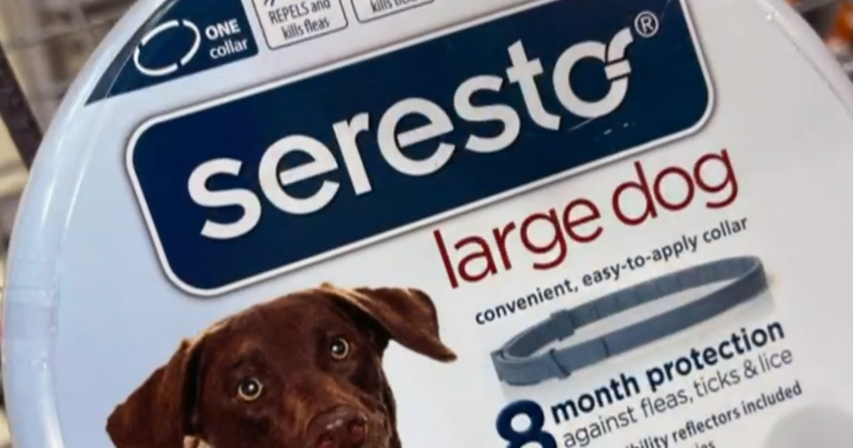 Lawmakers urge Seresto flea collar recall after pet deaths