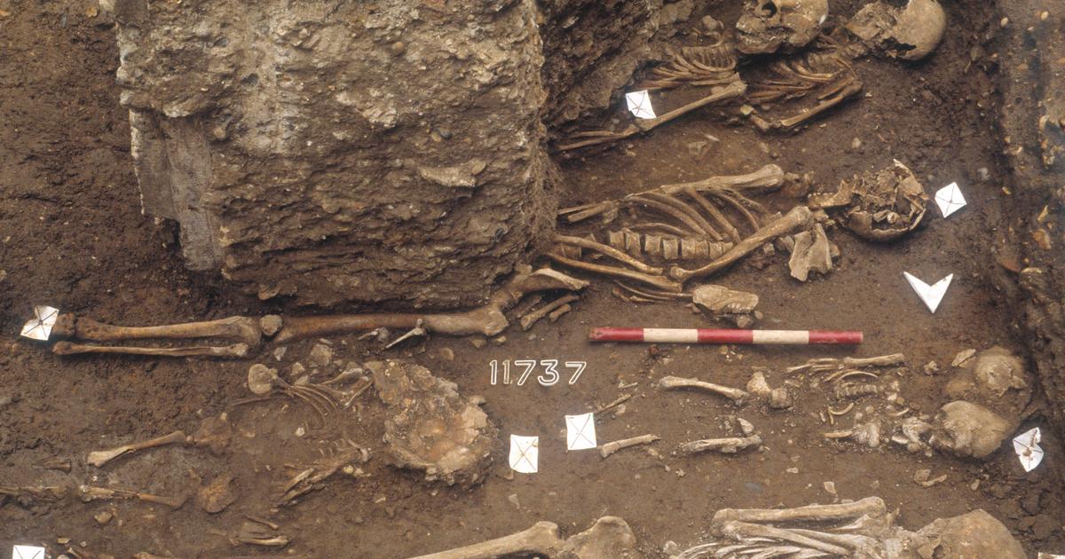 Black Death origin mystery solved nearly 700 years later, researchers say