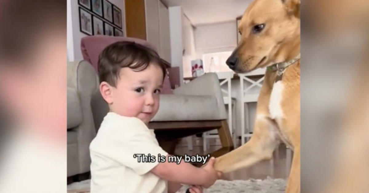 Toddler shares sweet moment with dog