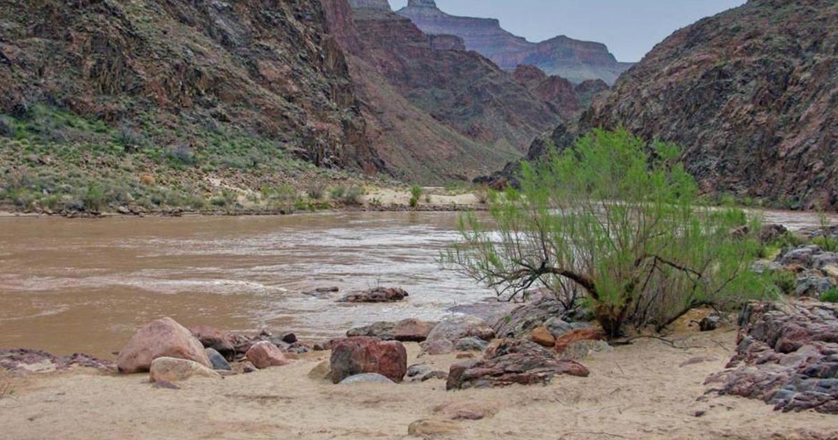 Woman dies after falling into Colorado River at Grand Canyon