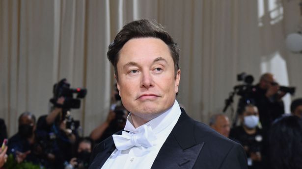 Musk has denied multiple affairs and was revealed to have secretly fathered twins last year