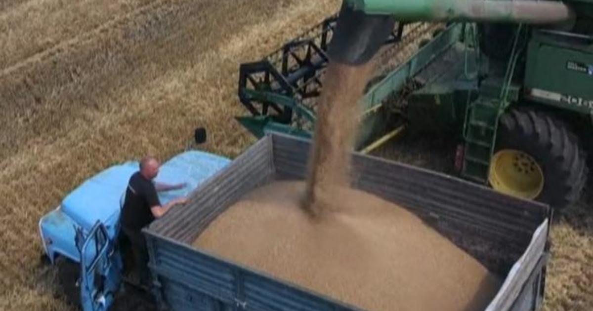 Russia, Ukraine sign deal to resume grain exports