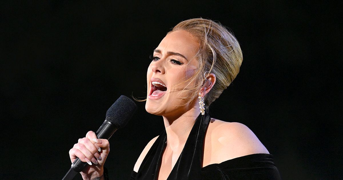 Adele halts Hyde Park gig and calls for security after concern for audience member