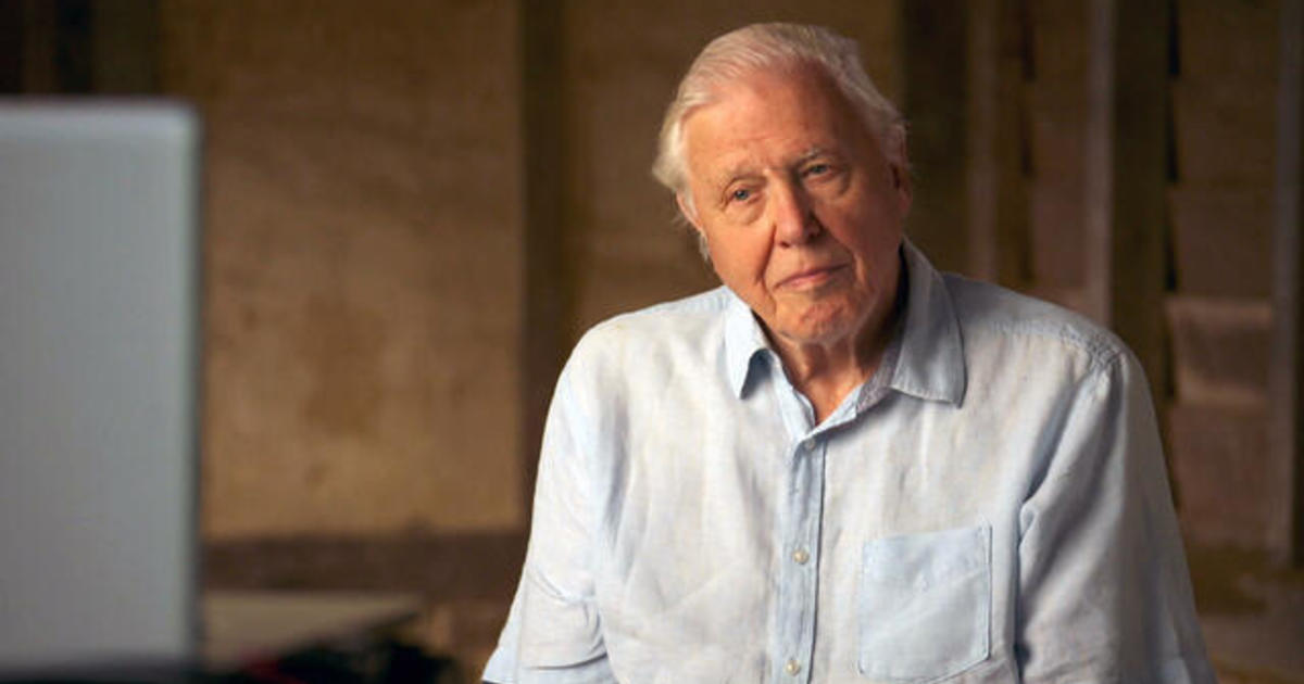 Sir David Attenborough: The 60 Minutes Interview