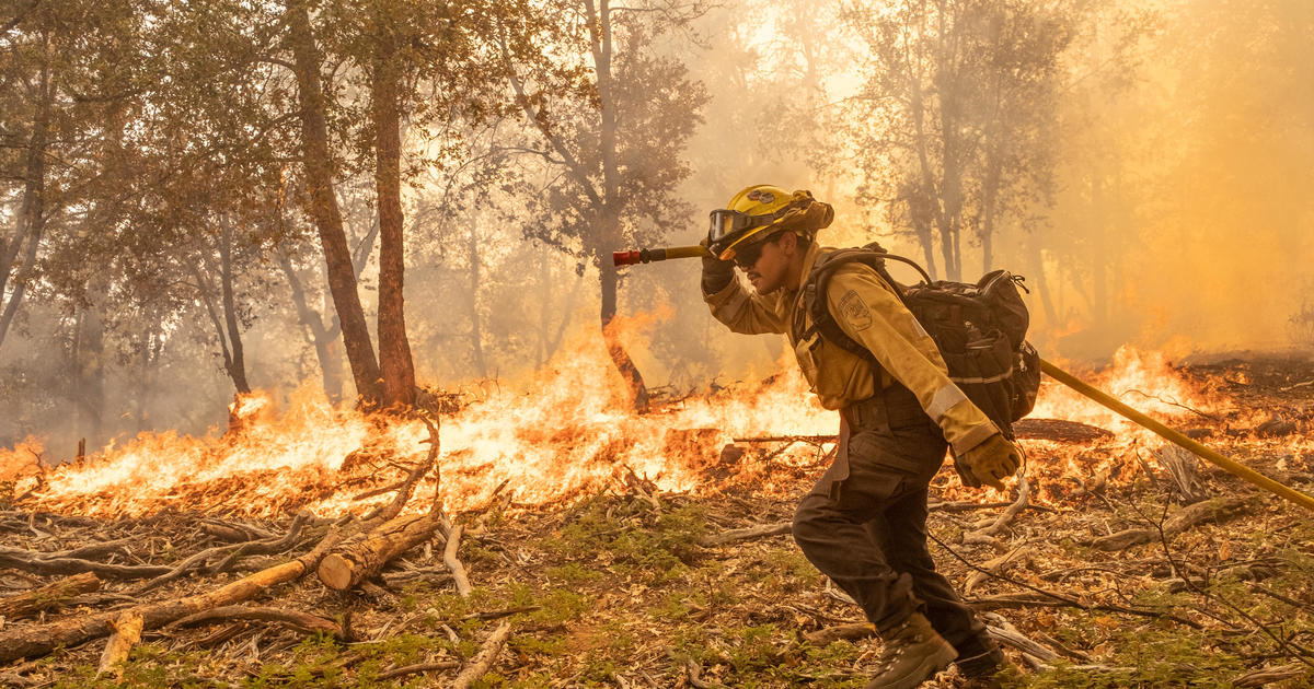 Firefighters slow growth of vast Oak Fire near Yosemite National Park