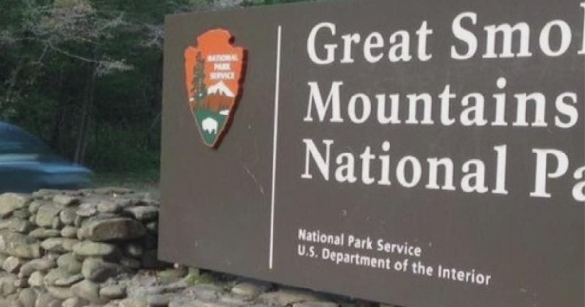 Girl dies after tree falls on her tent in Great Smoky Mountains National Park