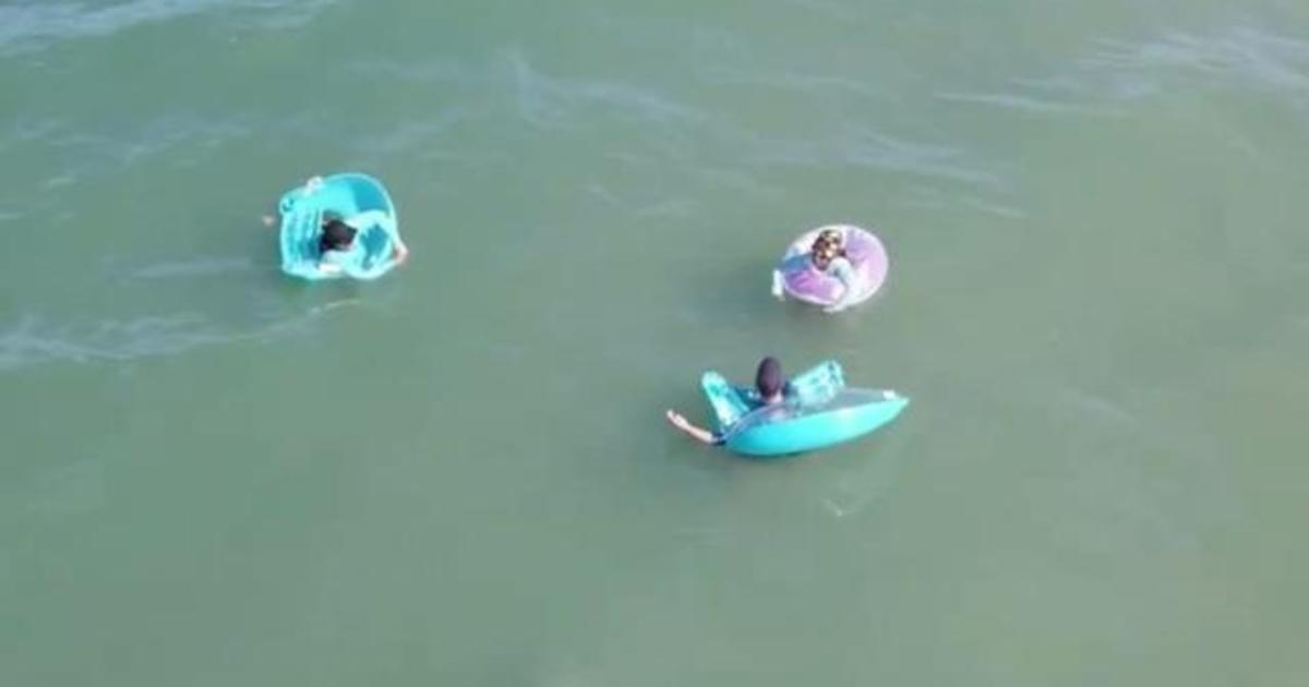 Large shark sneaks behind beachgoers in Florida