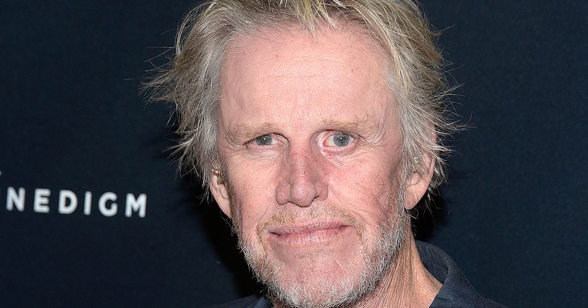 Celebrity Big Brother winner Gary Busey charged with sex offences at film convention