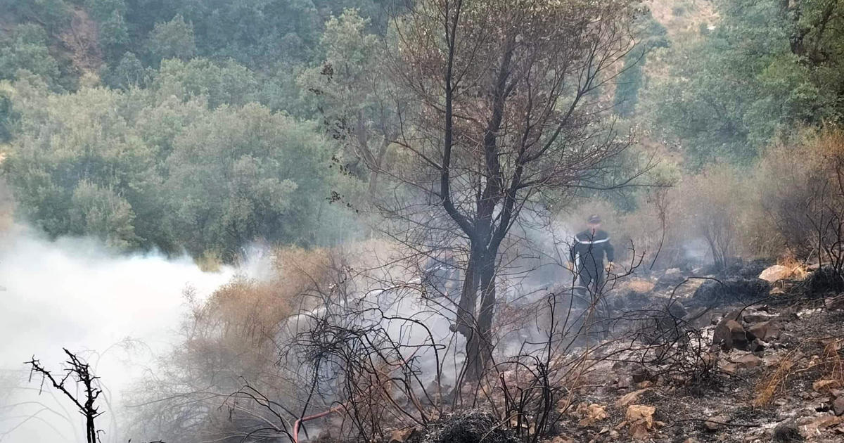 Wildfires kill dozens as they tear through forests in Algeria