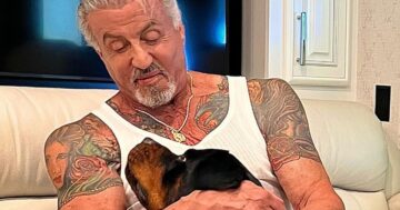 Sylvester Stallone gets tattoo of wife covered over with dog pic amid marriage rumours