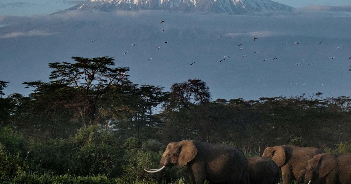 Mount Kilimanjaro, Africa’s highest peak, now has Wi-Fi