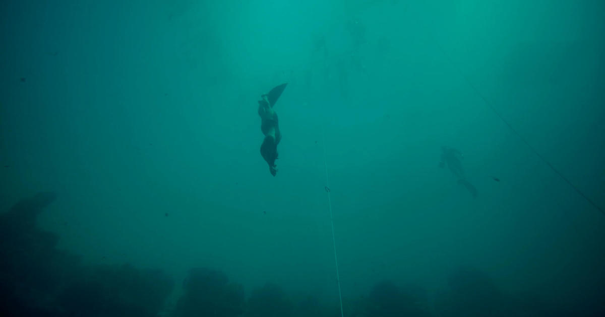 Free diver Alexey Molchanov: The king of the deep