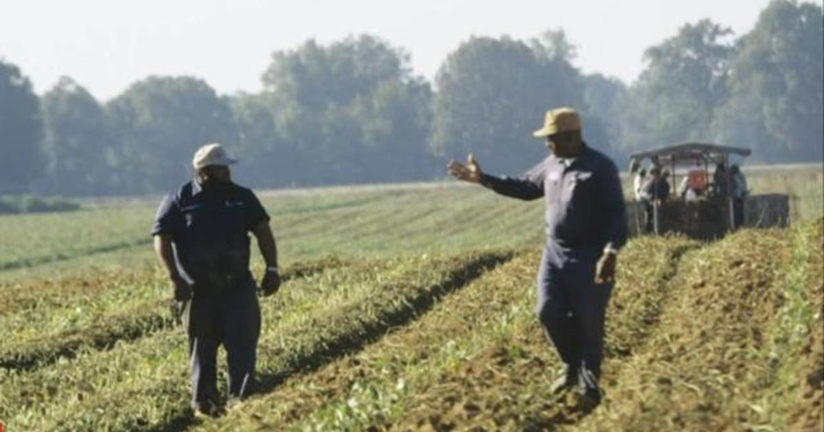 Black farmers face even more challenges with new Inflation Reduction Act