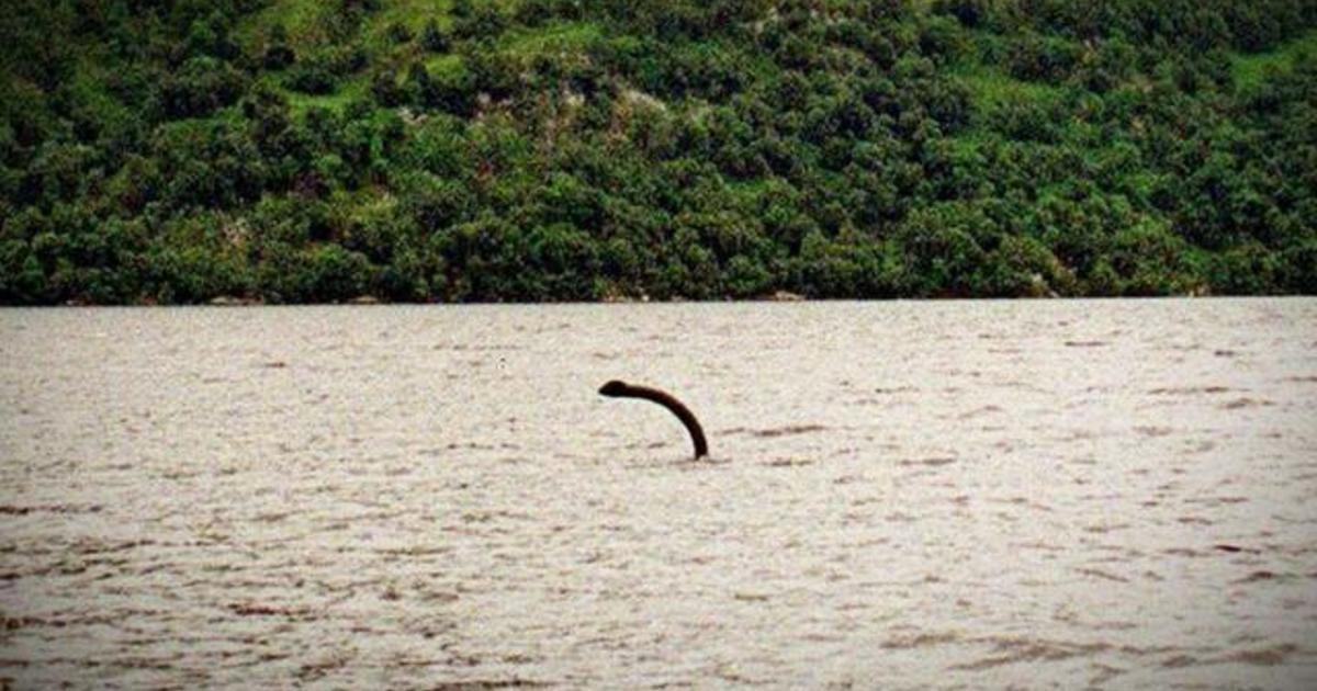 Scientists make discovery on dinosaur believed to be related to the Loch Ness Monster